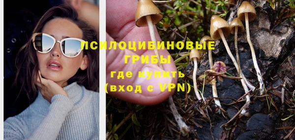 соль курить ск Белокуриха