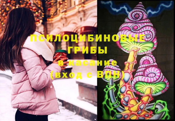 соль курить ск Белокуриха