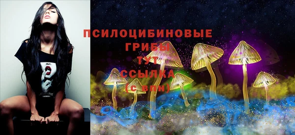 соль курить ск Белокуриха