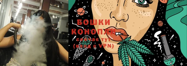 крисы Белоозёрский